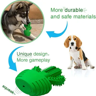 Petopia Bâton de dents de chien