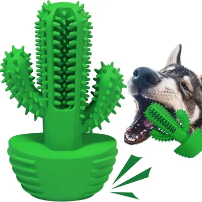 Petopia Bâton de dents de chien