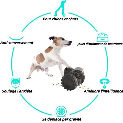 ZooVenture Entraînement IQ distributeur nourriture pour chien et chat
