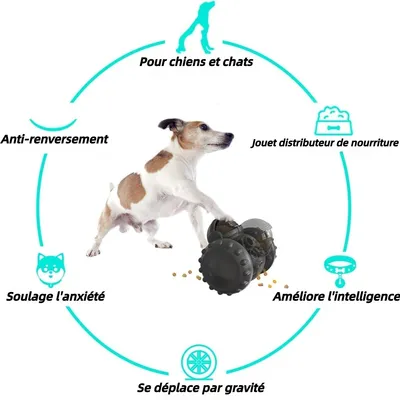 ZooVenture Entraînement IQ distributeur nourriture pour chien et chat