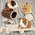 Pet Planet Hamsters Jeu de mastication