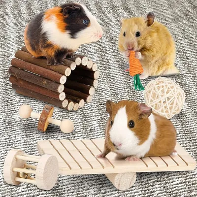 Pet Planet Hamsters Jeu de mastication