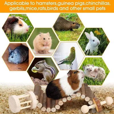 Pet Planet Hamsters Jeu de mastication