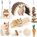 Pet Planet Hamsters Jeu de mastication