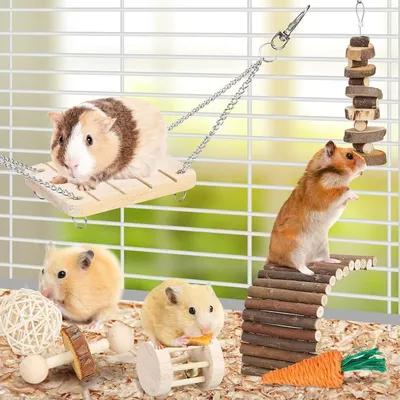 Pet Planet Hamsters Jeu de mastication