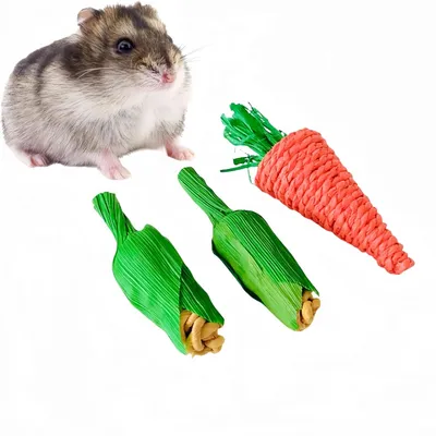 FurryFusion Jouet à mâcher pour rongeurs