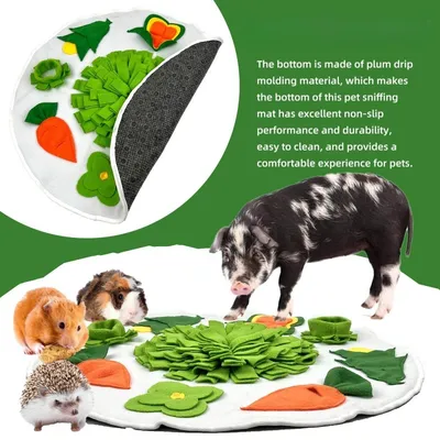 Petopia Tapis de recherche pour cochon d'Inde