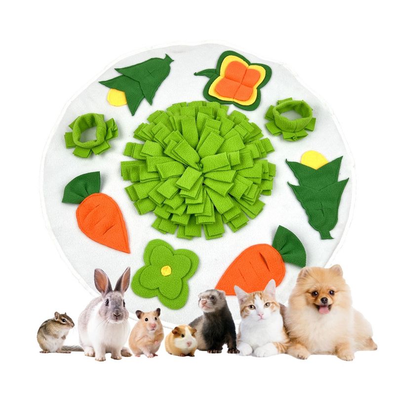 Petopia Tapis de recherche pour cochon d'Inde