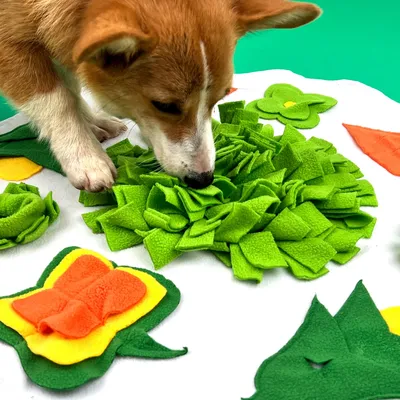 Petopia Tapis de recherche pour cochon d'Inde