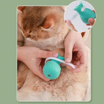 Pet Planet Chats Lot de bottes anti - rayures en silicone