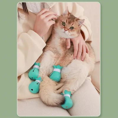 Pet Planet Chats Lot de bottes anti - rayures en silicone