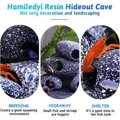 Pet Planet Poissons Accessoire de décoration d'aquarium en résine