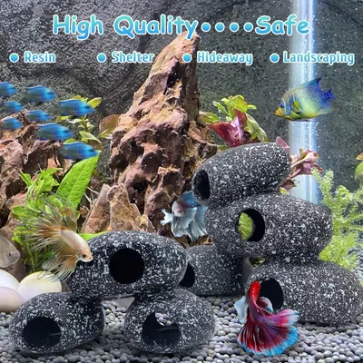 Pet Planet Poissons Accessoire de décoration d'aquarium en résine