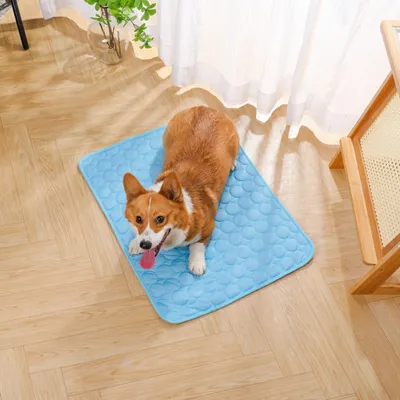 Petopia Tapis rafraîchissant et matelas d'été