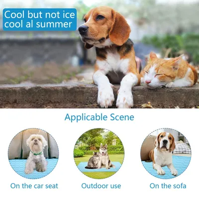 Tapis rafraîchissant pour chiens et chats Tapis rafraîchissant pour chiens et chats