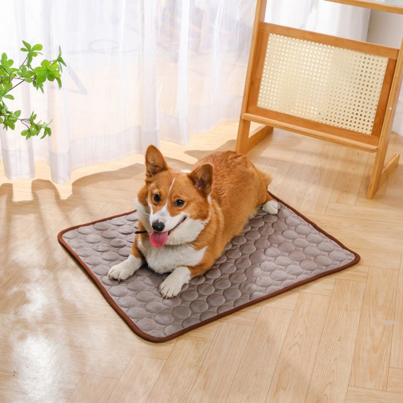 Petopia Tapis rafraîchissant et matelas d'été