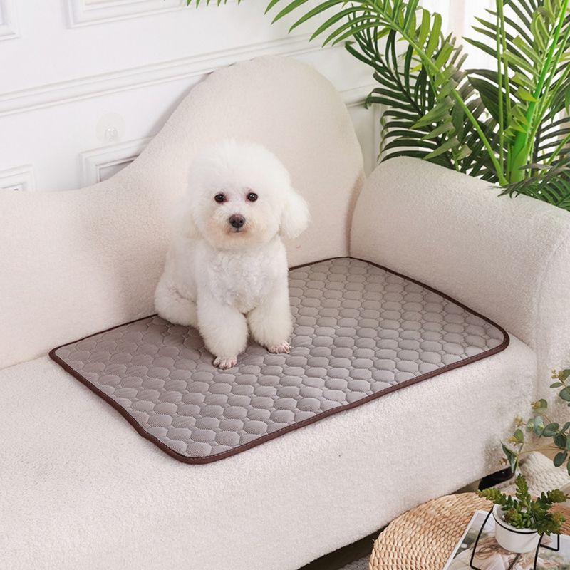 Petopia Tapis rafraîchissant et matelas d'été