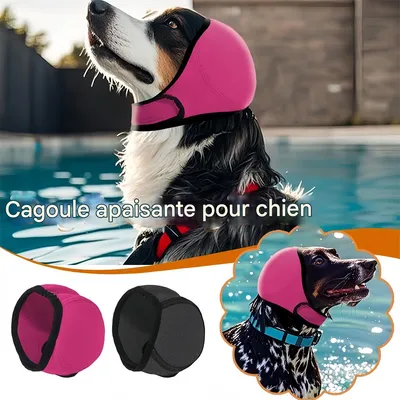 Pet Planet Cache - oreilles apaisant pour chien