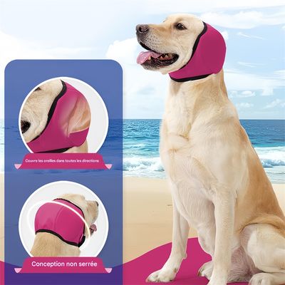 Pet Planet Cache - oreilles apaisant pour chien