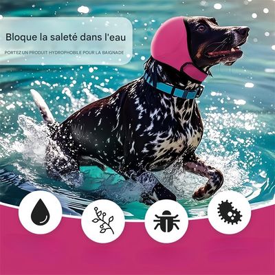 Pet Planet Cache - oreilles apaisant pour chien