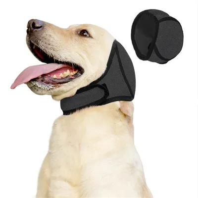 Pet Planet Cache - oreilles apaisant pour chien