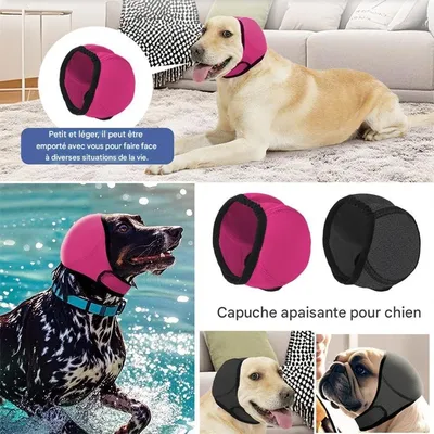 Pet Planet Cache - oreilles apaisant pour chien
