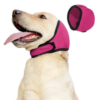 Pet Planet Cache - oreilles apaisant pour chien