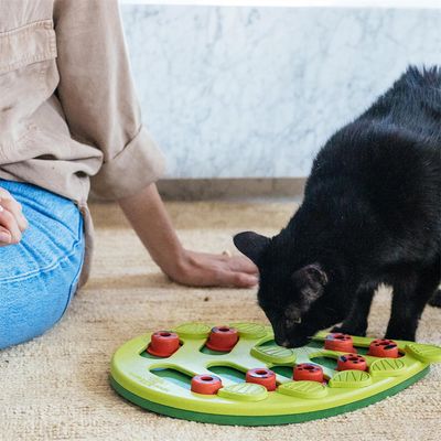 Pet Planet Bol labyrinthe pour chat