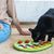 Pet Planet Bol labyrinthe pour chat