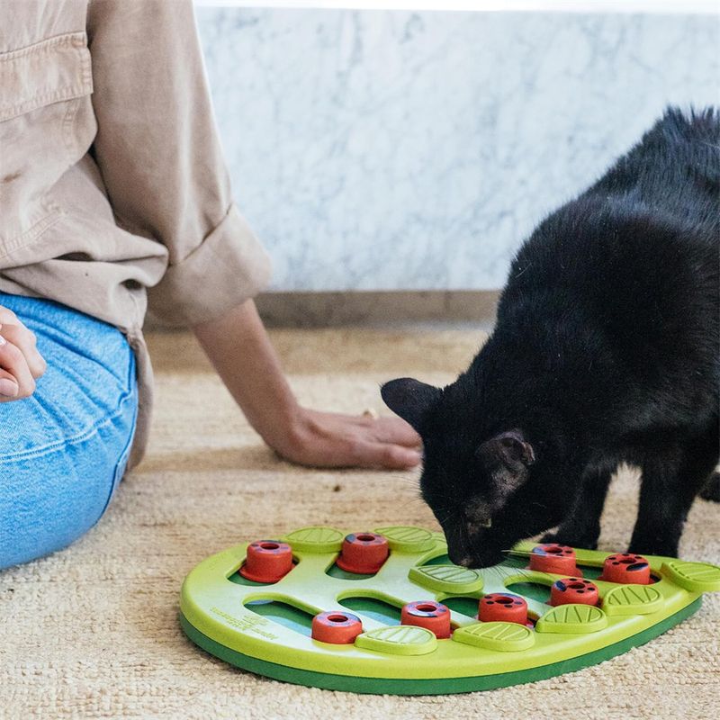 Pet Planet Bol labyrinthe pour chat