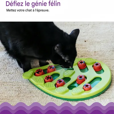 Pet Planet Bol labyrinthe pour chat