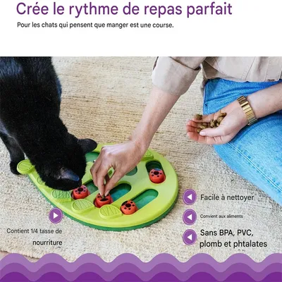 Pet Planet Bol labyrinthe pour chat