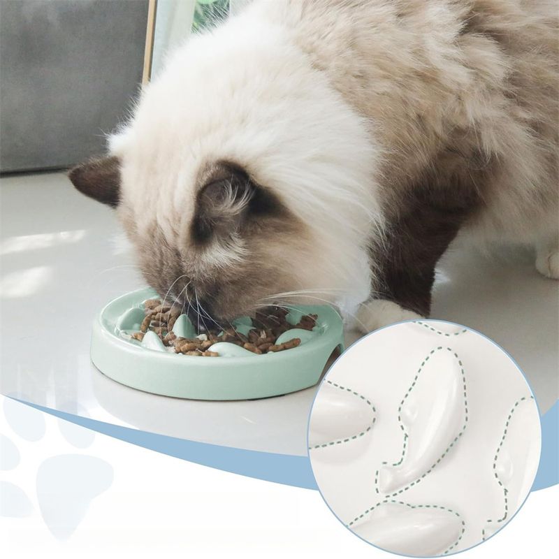 Pet Planet Gamelle à alimentation lente
