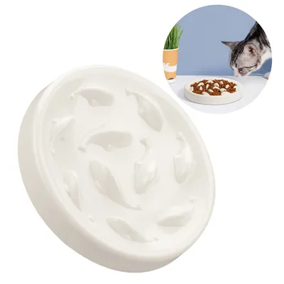 Pet Planet Gamelle à alimentation lente