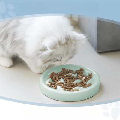 Pet Planet Gamelle à alimentation lente