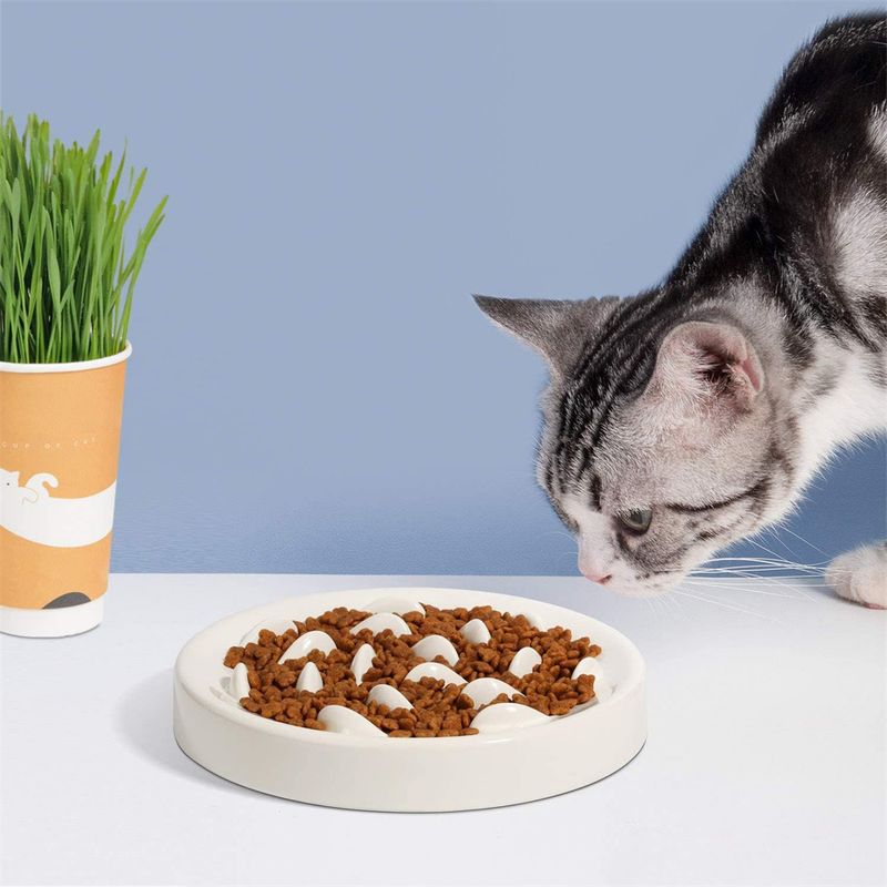 Pet Planet Gamelle à alimentation lente
