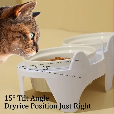 Petopia Ensemble de bols en céramique pour chat