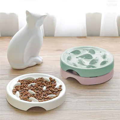 Pet Planet Gamelle à alimentation lente