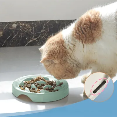Pet Planet Gamelle à alimentation lente