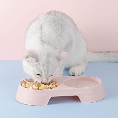 Petopia Gamelle double pour chat et chien
