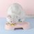 Petopia Gamelle double pour chat et chien