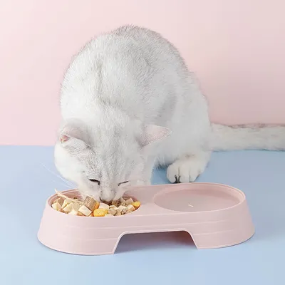 Petopia Gamelle double pour chat et chien