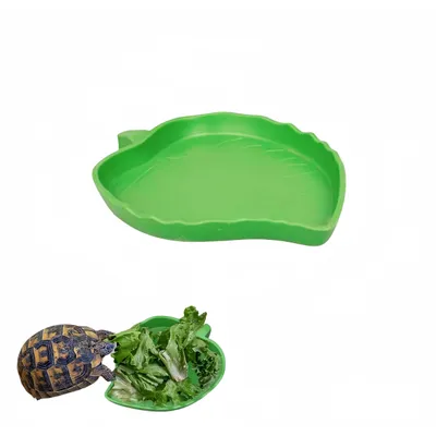 Petopia Abreuvoir pour reptiles