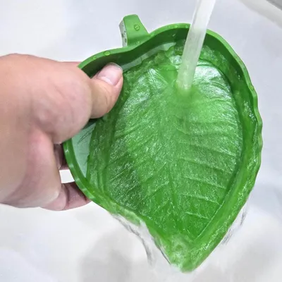 Petopia Abreuvoir pour reptiles