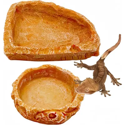 Pet Planet Reptiles Assiette à nourriture