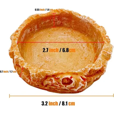 Pet Planet Reptiles Assiette à nourriture