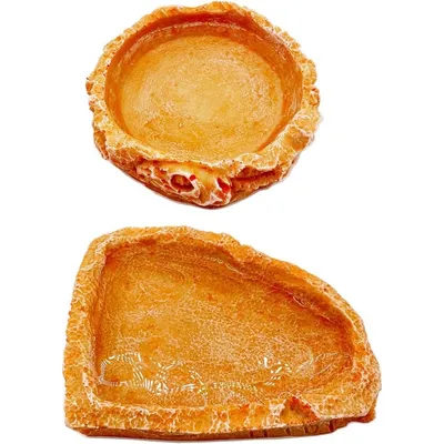 Pet Planet Reptiles Assiette à nourriture