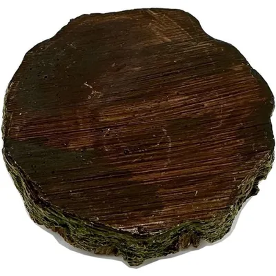 Pet Planet Reptiles Assiette à nourriture