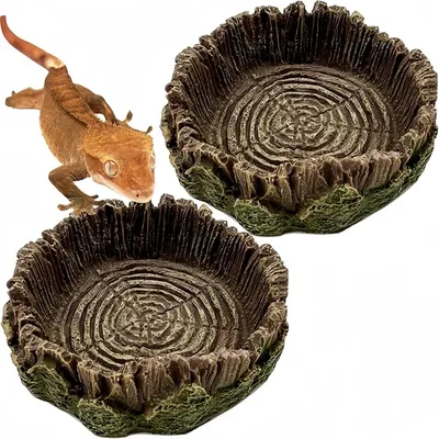 Pet Planet Reptiles Assiette à nourriture