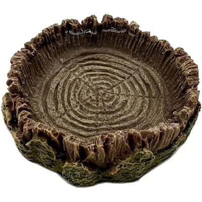 Pet Planet Reptiles Assiette à nourriture